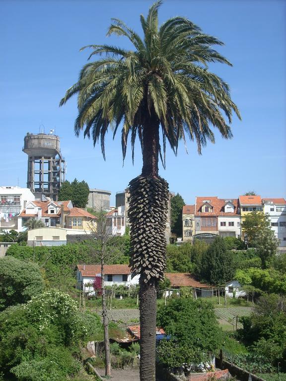 Apartamento Santa Catarina Downtown *