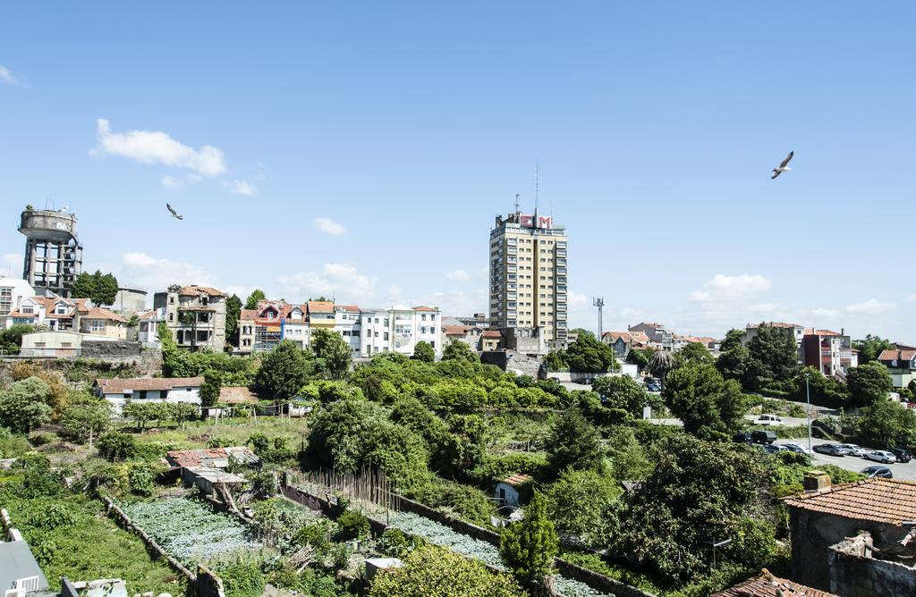 Santa Catarina Downtown
